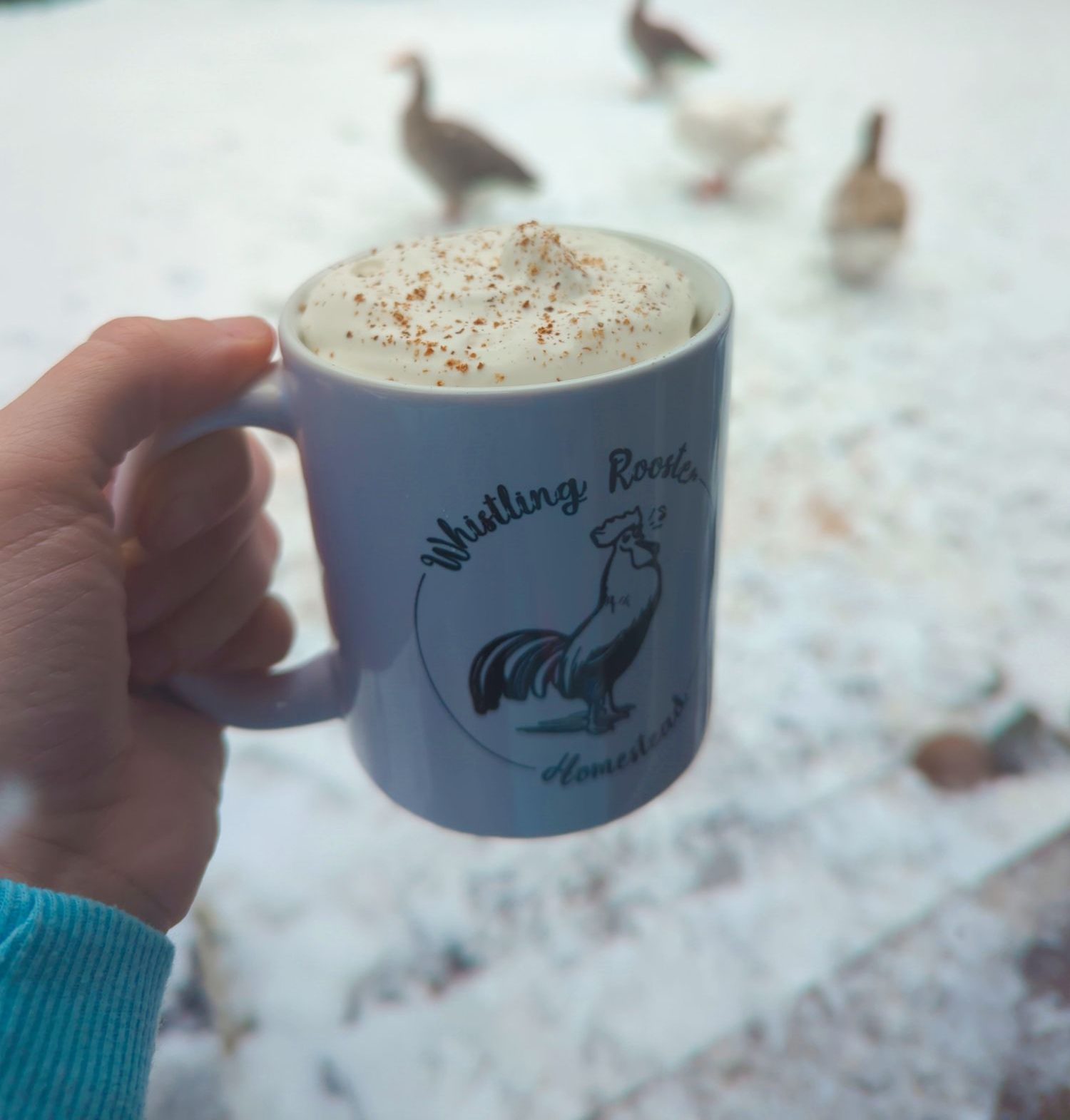 Spiced Eggnog – Recipe